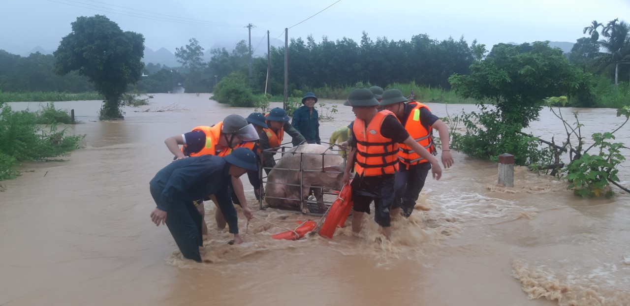 Nghệ An: Hơn 200 hộ dân ở Quỳ Hợp. ngập trong biển nước